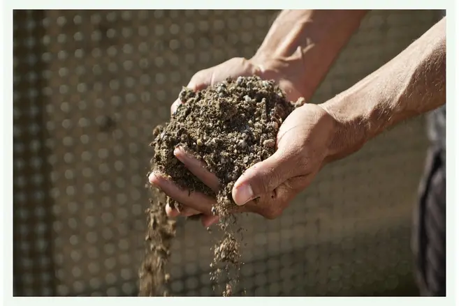 Agriculture​