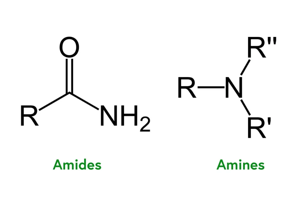 Amides vs Amines: Definitions, Uses, and Applications Explained
