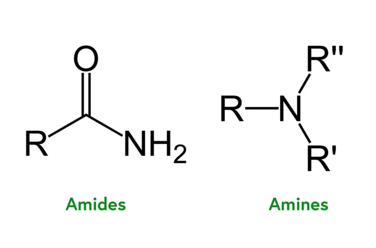 Amides vs Amines: Key Differences and Applications
