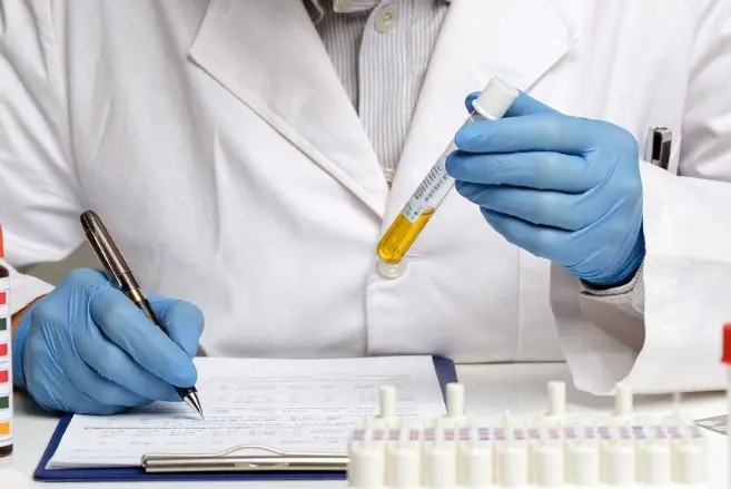 What is RTV Silicone? - Complete Guide
