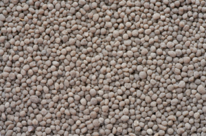 Buy Sodium Tri Phosphate