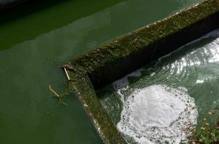 How Does a Defoamer Improve Efficiency in Wastewater Treatment