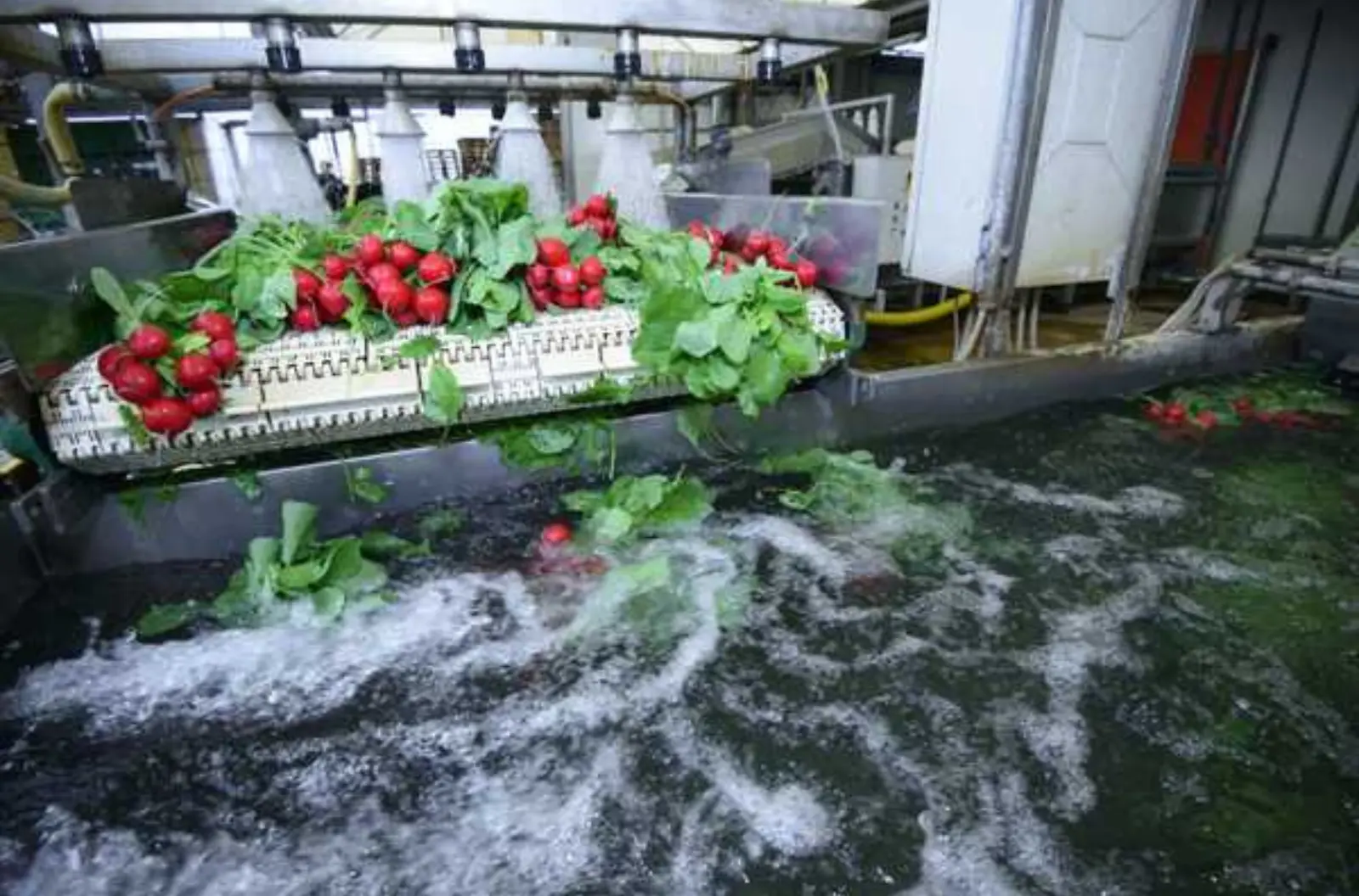 What Are the Challenges of Using Defoamers in Food Processing?