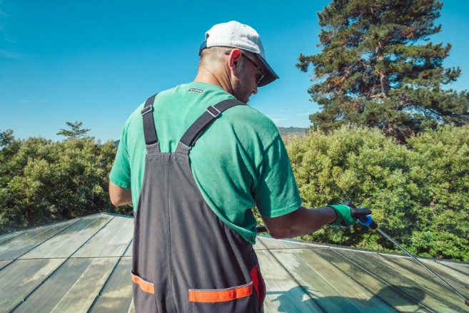 Roof and Gutters Cleaning