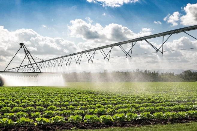 What Are the Uses of Calcium Formate in Construction and Agriculture?