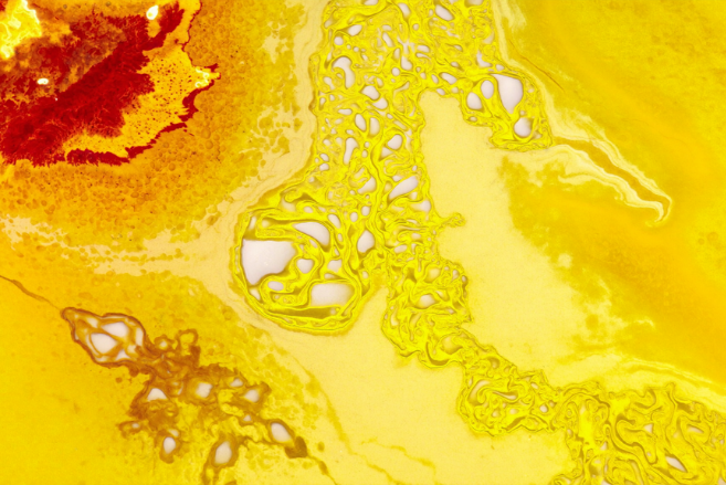 Buy Premium Alkyds for Industrial Use | RawSource
